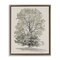 Stupell Industries Vintage Farmhouse Tall Tree Floating Frame, design by Riley B